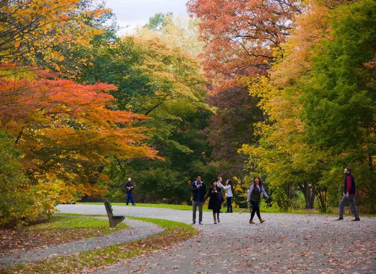 Arnold Arboretum