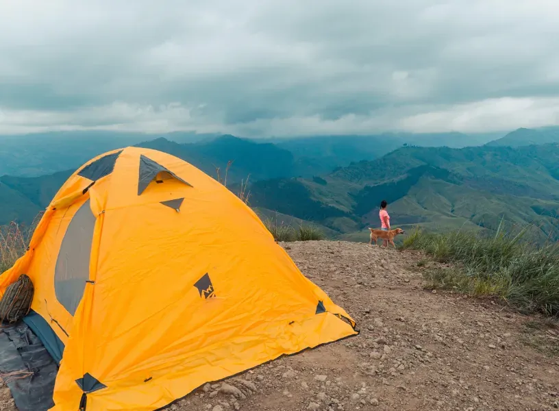 National Forest & Grasslands Explorer