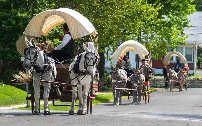 Find Your Independence