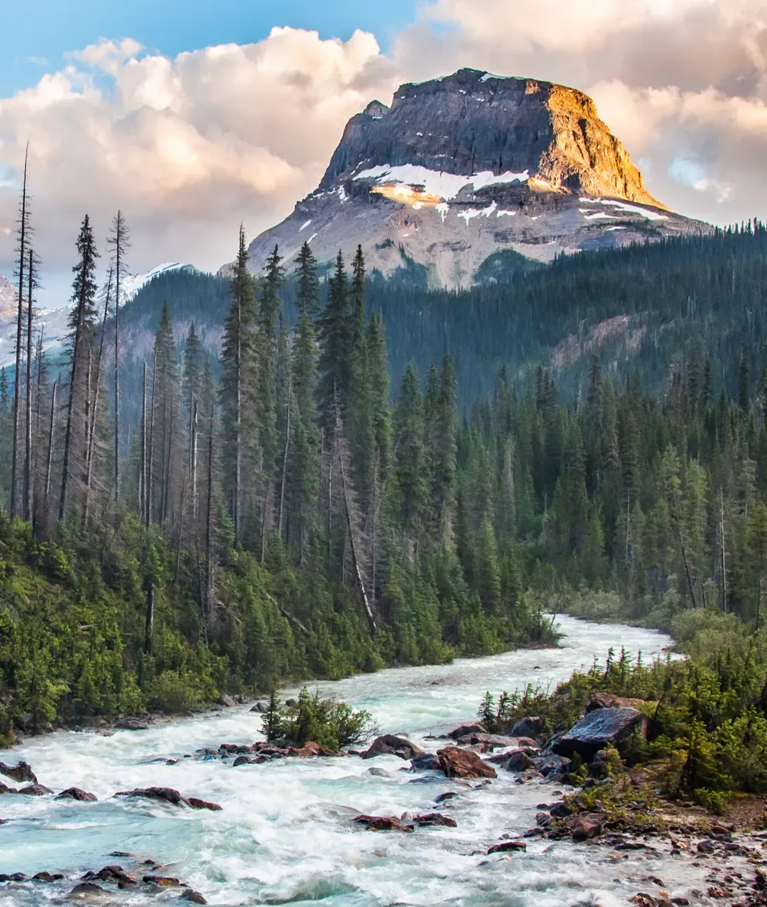 Find out how we can help with your...