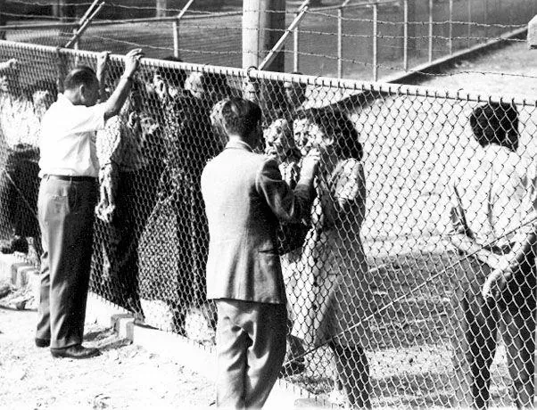 Safe Haven Holocaust Museum
