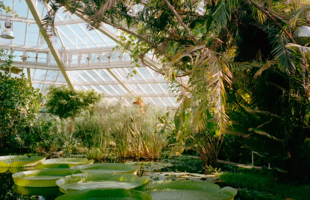 Darwin Botanic Gardens