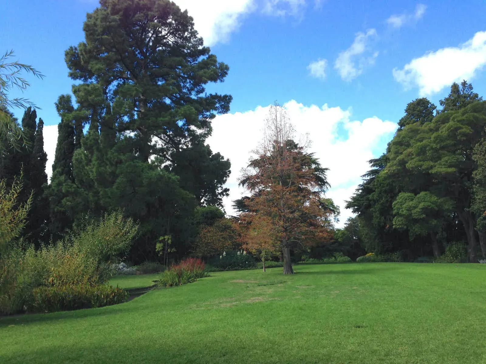 Burnley Gardens Walk